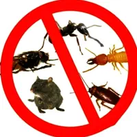 سمپاشی مرکز تخصصی سم پاشی ساس سوسک موش کنه بید کک