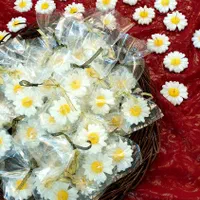 شَمع|صنایع دستی و سایر لوازم تزئینی|اصفهان, پارک مشتاق|دیوار