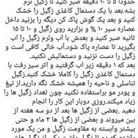 تست ۳ ماهه درمان زگیل تناسلی با سیر|آرایشی، بهداشتی، درمانی|مشهد, جنت|دیوار