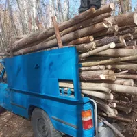 خرید وفروش چوب ،قطع وسربرداری کف بری