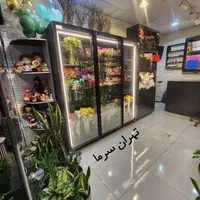 یخچال Glacier City ایستاده ویترینی موتور آلمان|فروشگاه و مغازه|مشهد, فدک|دیوار