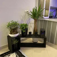 واحد تازه تاسیس ‌فول،مبله ،سوییت ،نیم تایم ،روزانه|اجارهٔ کوتاه‌مدت آپارتمان و سوئیت|مشهد, کوه سنگی|دیوار
