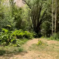 زمین فنس کشی در روستای وارنگه رود واقع در بافت ده|فروش زمین و ملک کلنگی|آسارا, |دیوار
