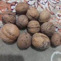 فروش خشکبار انواع کشمش آبگیری برای سرکه وغیره|خوردنی و آشامیدنی|کرج, ملارد|دیوار