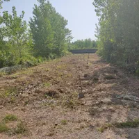 زمین باغی سنددار