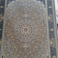 فرش قالی هاتم|فرش|شیراز, میانرود|دیوار
