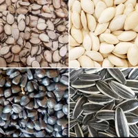 خشک کردن،بوجاری و سورت تخمه هندوانه،آفتابگردان،کدو|خدمات باغبانی و درختکاری|مینودشت, |دیوار