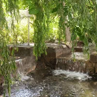 باغ با جوی آب روان ماهان