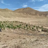 فروش باغ سنددار درنمرودمعاوضه باآپارتمان و خودرو.|فروش دفتر صنعتی، کشاورزی، تجاری|فیروزکوه, |دیوار