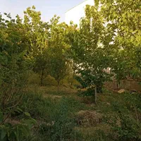 باغ ویلایی 540متر 220بنا در مهرآباد رودهن|فروش خانه و ویلا|رودهن, |دیوار