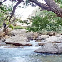 فعالیت داوطلبانه کوهنوردی