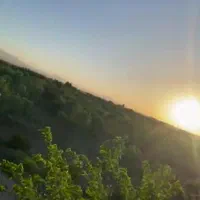۱۰۰۰ متر باغ/سند تک برگ/معاوضه باخودرو/زرندیه|فروش دفتر صنعتی، کشاورزی، تجاری|ساوه, |دیوار