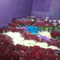 باربری هیراد/داخل شهری/سراسرایران/ماشین بزرگ ومرتب|خدمات حمل و نقل|اراک, |دیوار