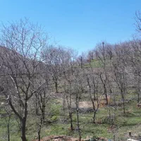 *۴۳هکتار زمین براصلی اتوبان سند تک برگ بدون مشابه*|فروش زمین و ملک کلنگی|رودهن, |دیوار