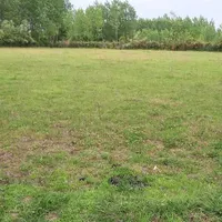 زمین باغی خارج طرح مناسب پرورش ماهی گلخانه درختکار|فروش دفتر صنعتی، کشاورزی، تجاری|صومعه‌سرا, |دیوار