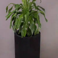 گلدان استوانه قطر ۶۰ ارتفاع ۸۰ ،AGRgroup