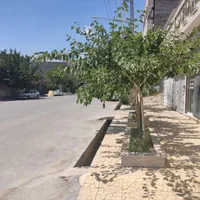 فروش  منزل مسکونی شهرک بهار|فروش خانه و ویلا|مشهد, نوید|دیوار