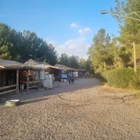 چاه عمیق دربست و ۱۰۰ هکتار زمین کشاورزی