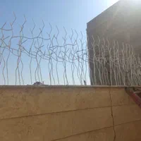 تولیدی اصلی حفاظ شاخ گوزنی در اسلامشهر اسلامشهر|خدمات پیشه و مهارت|اسلام‌شهر, مظفریه|دیوار