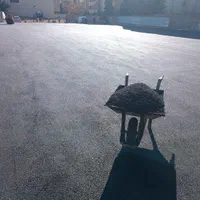 آسفالت زیرسازی.ایزوگام.قیرگونی|خدمات پیشه و مهارت|شیراز, قصرالدشت|دیوار