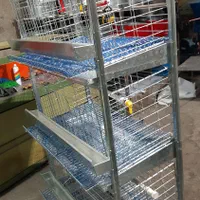 قفس و سبد حمل مرغ و بلدرچین|لوازم جانبی حیوانات|یزد, |دیوار