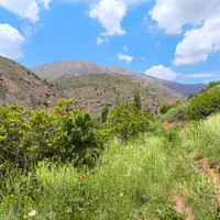 باغچه ۷۰۰ متر لواسان بزرگ قابل ساخت/جورد/وسکاره|فروش زمین و ملک کلنگی|لواسان, |دیوار