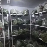 سردخانه ی فعال همراه با ملک تجاری