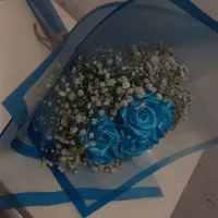 گل روبانی و پروانه ای