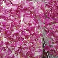 دستگاه میوه و سبزی خشک کن تراشه پرداز|سایر لوازم برقی|تهران, جنت‌آباد شمالی|دیوار
