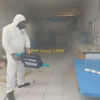 خدمات سمپاشی ساس سوسک موریانه زدایی،سم پاشی شرکتی|خدمات نظافت|بندر ماهشهر, |دیوار