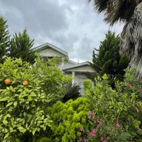 زورد گوشیو بگیر از دست ندادی ویلا باغ تو دلی کاسبی