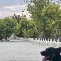 فروش باغچه ۵۰۰ متری سندتک برگ/استثنایی/سنددار|فروش خانه و ویلا|شهریار, حصار ساتی|دیوار