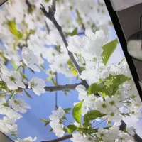 نیروبرای کارسقف کشسان|استخدام صنعتی، فنی، مهندسی|قم, پردیسان|دیوار