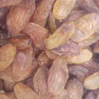 فروش عمده مویز|عمده‌فروشی|شیراز, کاراندیش|دیوار