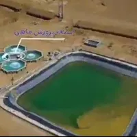 نهال پسته و...|گل و گیاه طبیعی|تهران, جنت‌آباد شمالی|دیوار