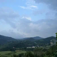 زمین مسکونی سند تک برگ و پروانه ساخت در لفور|فروش زمین و ملک کلنگی|مرزیکلا, |دیوار