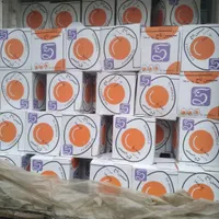 بنکداری تخم‌ مرغ روز