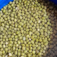 فروش کلی و جزئی زیتون کنسروی در زیتون سرای|عمده‌فروشی|تهران, خاک سفید|دیوار