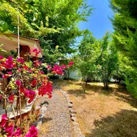 خونه قدیمی تو دل جنگل های هیرکانی شمال|فروش خانه و ویلا|تهران, دریاچه شهدای خلیج فارس|دیوار