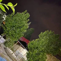 اجاره باغ ویلای استخر دار در شاندیز|اجارهٔ کوتاه‌مدت ویلا و باغ|مشهد, وکیل‌آباد|دیوار