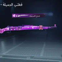 حساب پابجی دارای حساب کالاف دیوتی وفیریفایر|کنسول، بازی ویدئویی و آنلاین|شوش, |دیوار
