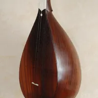 دوتار حرفه ای