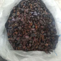 کشمش گله ( درگز ) صدرصد آفتابی ،مخصوص آبگیری|خوردنی و آشامیدنی|مشهد, تلگرد|دیوار