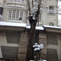 اجاره ویلای لاکچری درپاسداران