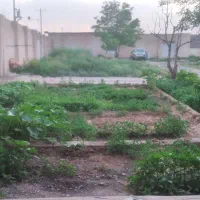 گاوداری دامداری تولیدی5000متری|فروش دفتر صنعتی، کشاورزی، تجاری|مشهد, شهرک شهید باهنر|دیوار