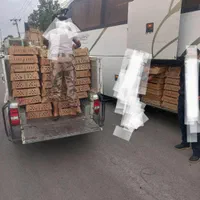 جوجه مرغ محلی مشکی رنگی خروسک اردک جابری|حیوانات مزرعه|اهواز, نادری|دیوار