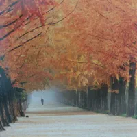 استخدام نیروی خدماتی و نگهداری