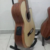 گیتار پیکاپدار حرفه ای