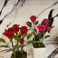گل های انعطافی|گل مصنوعی|تهران, قنات‌کوثر|دیوار