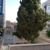 منزل مبله  بلوار مدرس فضیلت فضل آباد|اجارهٔ کوتاه‌مدت آپارتمان و سوئیت|شیراز, وحدت|دیوار